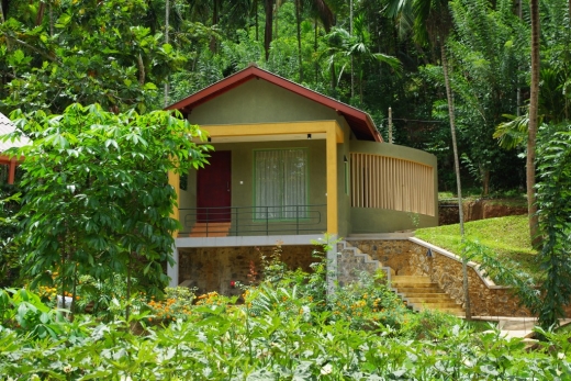 Gallery Image 6