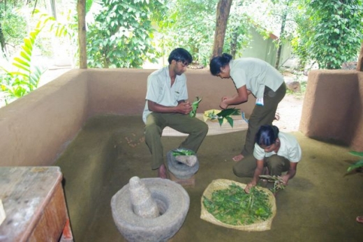 Gallery Image 6