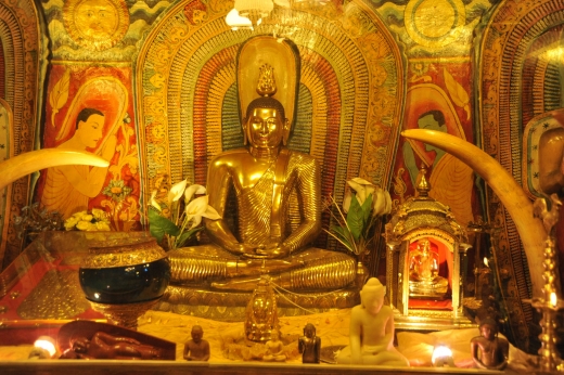 Gallery Image 6
