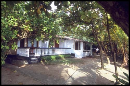 Gallery Image 6