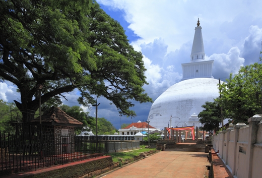 Main View