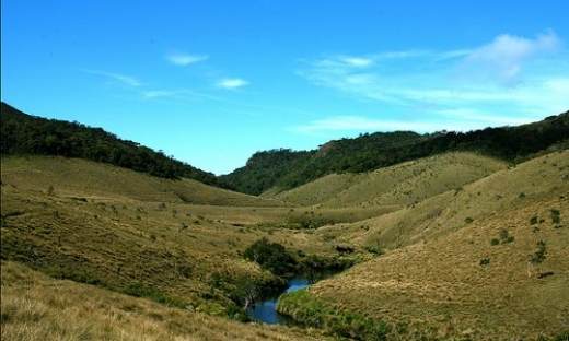 Main View