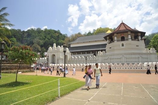Gallery Image 7